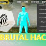 VIP BRUTAL PUBG HACK